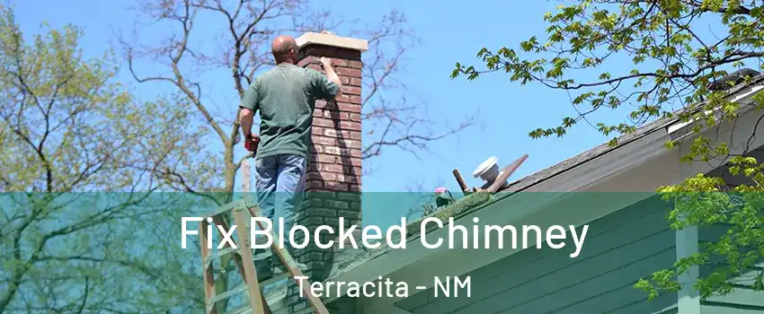 Fix Blocked Chimney Terracita - NM