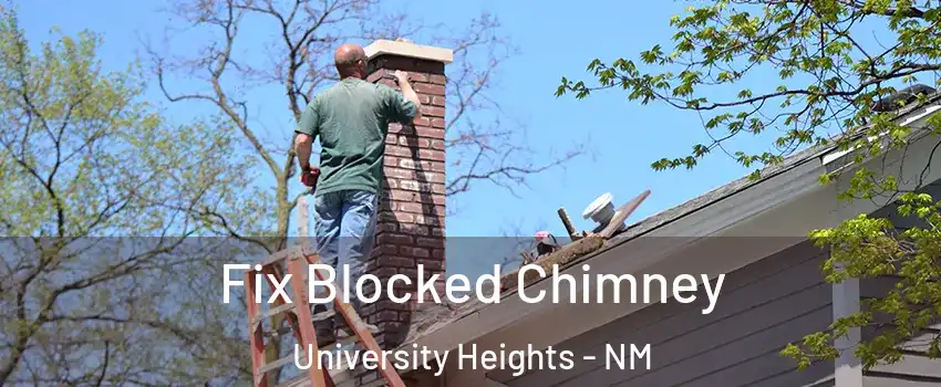 Fix Blocked Chimney University Heights - NM