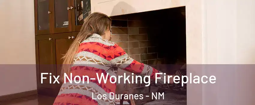 Fix Non-Working Fireplace Los Duranes - NM