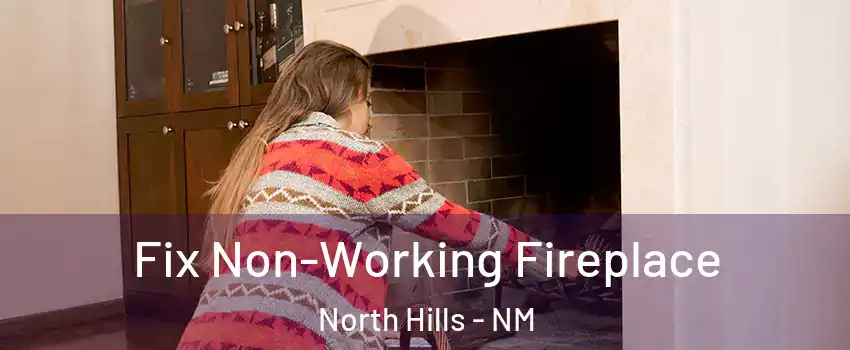 Fix Non-Working Fireplace North Hills - NM