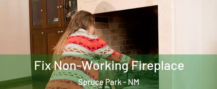 Fix Non-Working Fireplace Spruce Park - NM