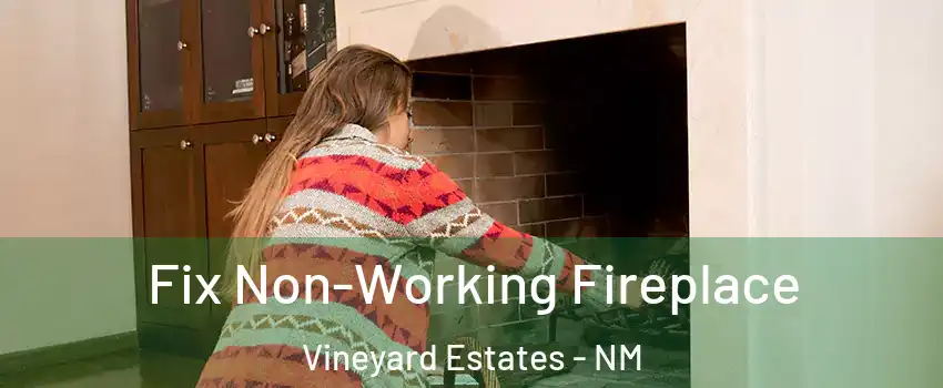 Fix Non-Working Fireplace Vineyard Estates - NM