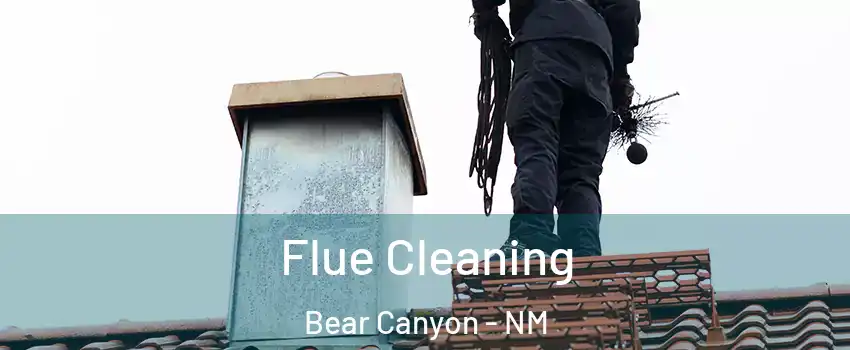 Flue Cleaning Bear Canyon - NM