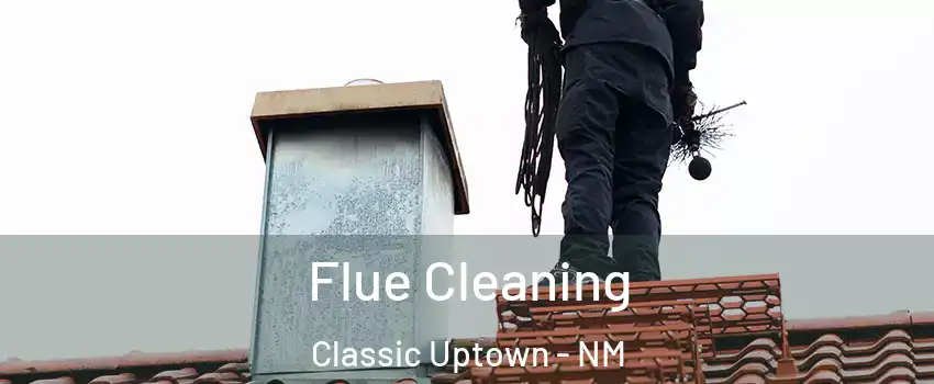 Flue Cleaning Classic Uptown - NM