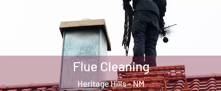 Flue Cleaning Heritage Hills - NM