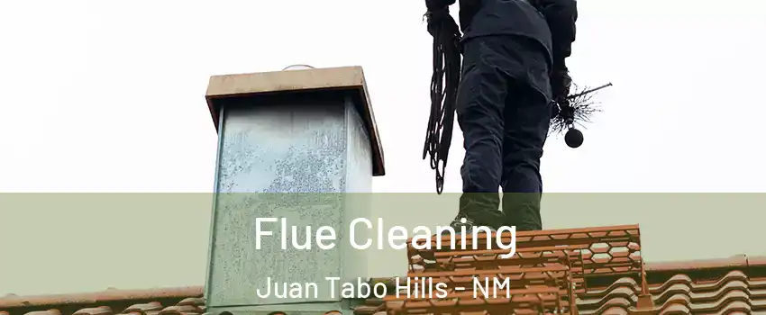 Flue Cleaning Juan Tabo Hills - NM