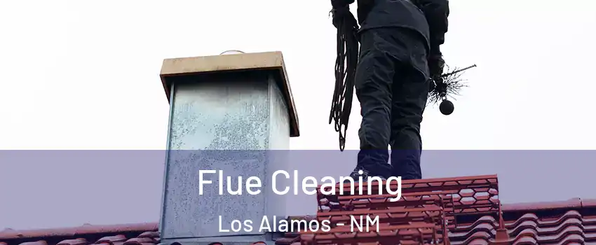 Flue Cleaning Los Alamos - NM