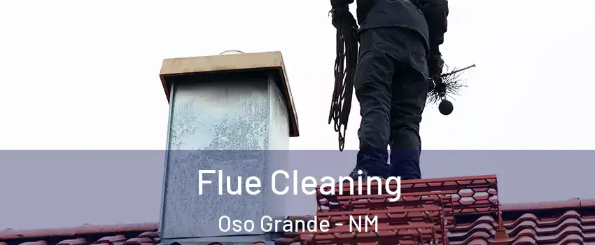 Flue Cleaning Oso Grande - NM