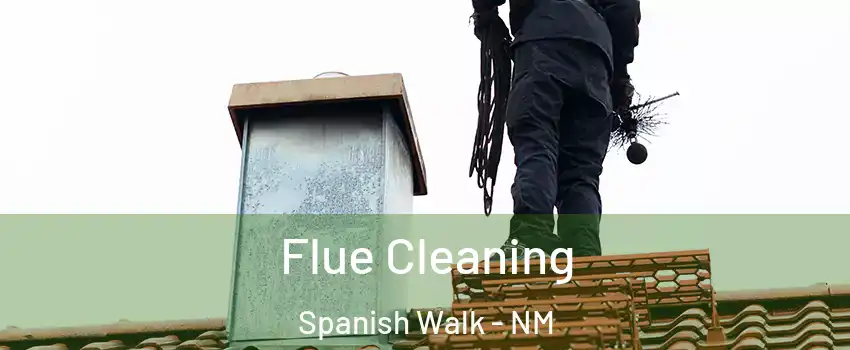 Flue Cleaning Spanish Walk - NM