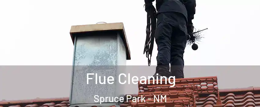 Flue Cleaning Spruce Park - NM