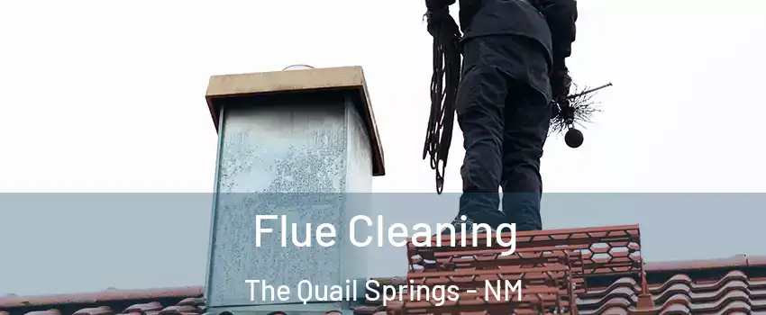 Flue Cleaning The Quail Springs - NM