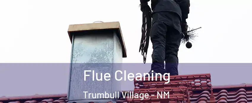 Flue Cleaning Trumbull Village - NM