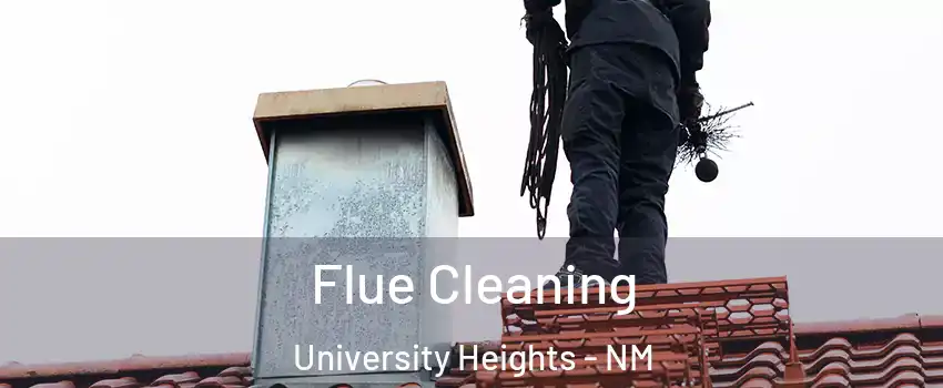 Flue Cleaning University Heights - NM