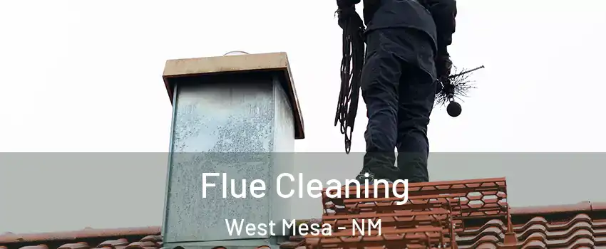 Flue Cleaning West Mesa - NM