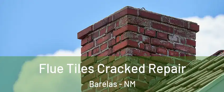 Flue Tiles Cracked Repair Barelas - NM