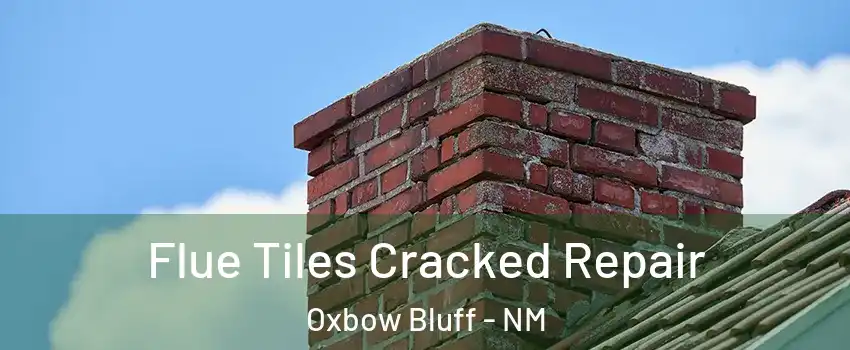 Flue Tiles Cracked Repair Oxbow Bluff - NM