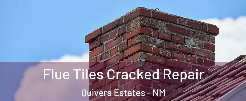 Flue Tiles Cracked Repair Quivera Estates - NM