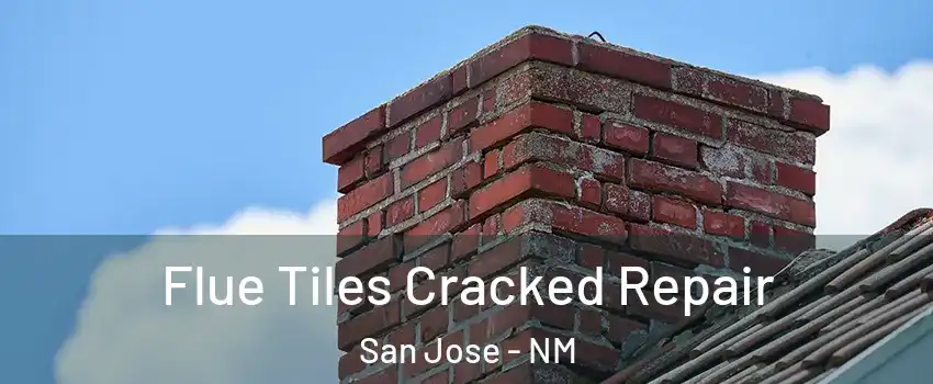 Flue Tiles Cracked Repair San Jose - NM