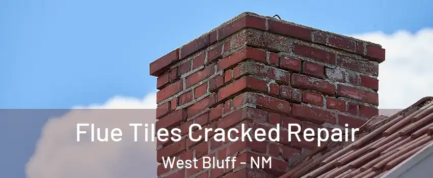 Flue Tiles Cracked Repair West Bluff - NM