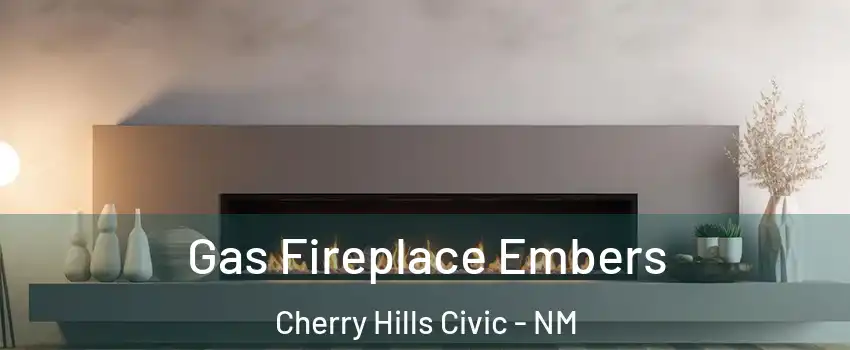 Gas Fireplace Embers Cherry Hills Civic - NM