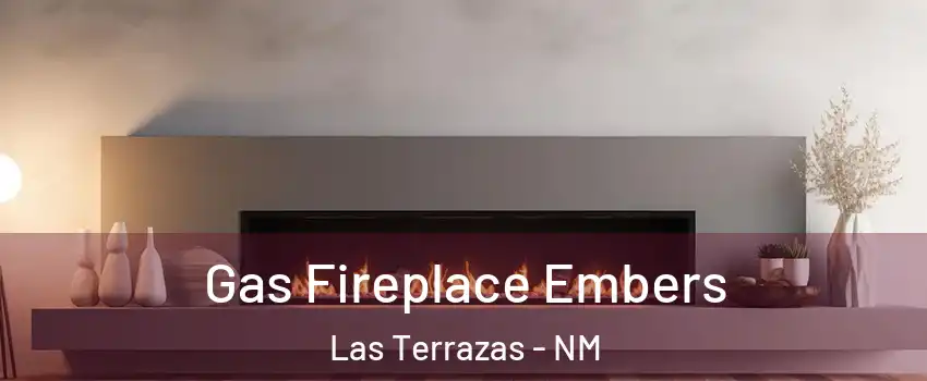 Gas Fireplace Embers Las Terrazas - NM