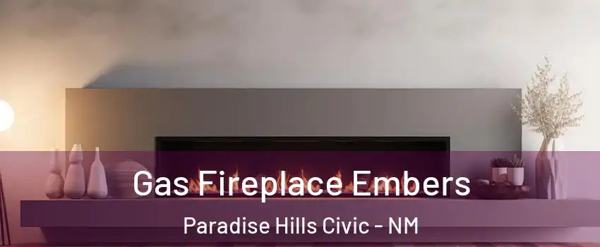 Gas Fireplace Embers Paradise Hills Civic - NM