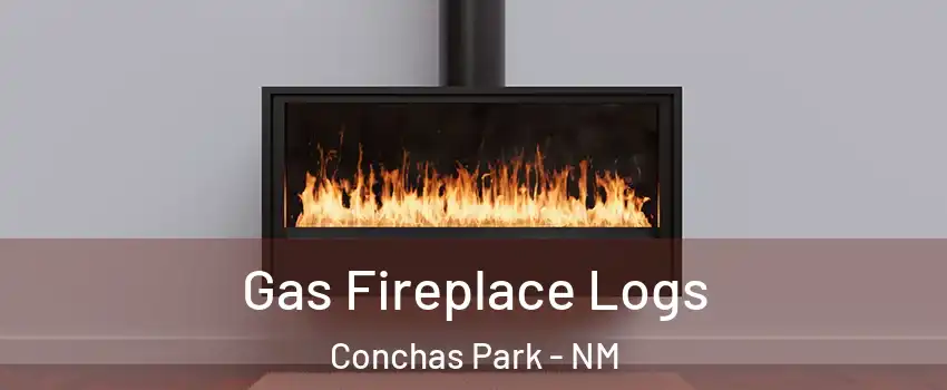 Gas Fireplace Logs Conchas Park - NM