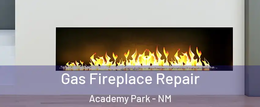 Gas Fireplace Repair Academy Park - NM