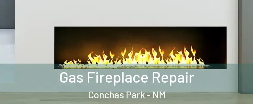 Gas Fireplace Repair Conchas Park - NM