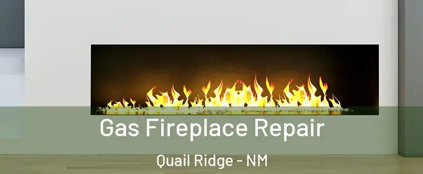 Gas Fireplace Repair Quail Ridge - NM