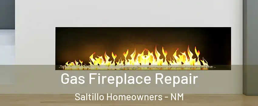 Gas Fireplace Repair Saltillo Homeowners - NM