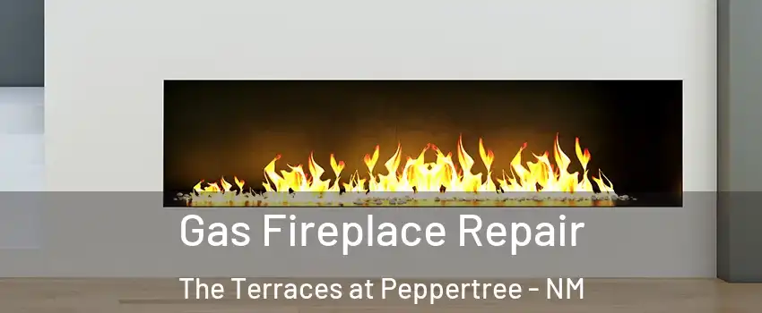 Gas Fireplace Repair The Terraces at Peppertree - NM