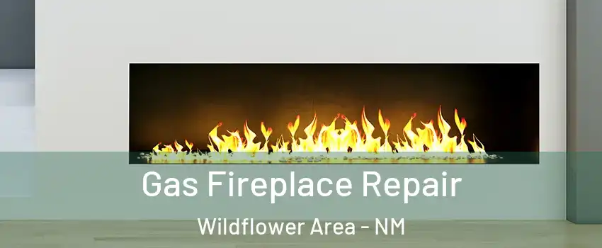 Gas Fireplace Repair Wildflower Area - NM