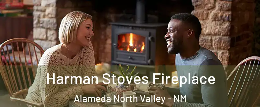 Harman Stoves Fireplace Alameda North Valley - NM