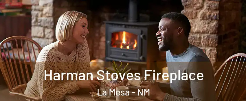 Harman Stoves Fireplace La Mesa - NM