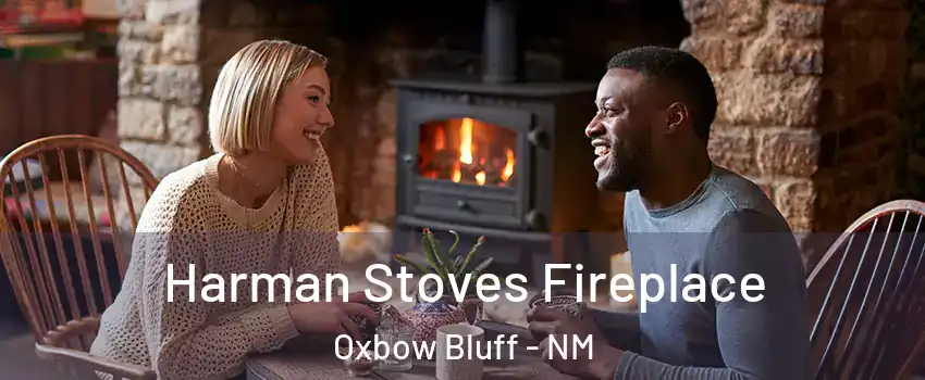 Harman Stoves Fireplace Oxbow Bluff - NM