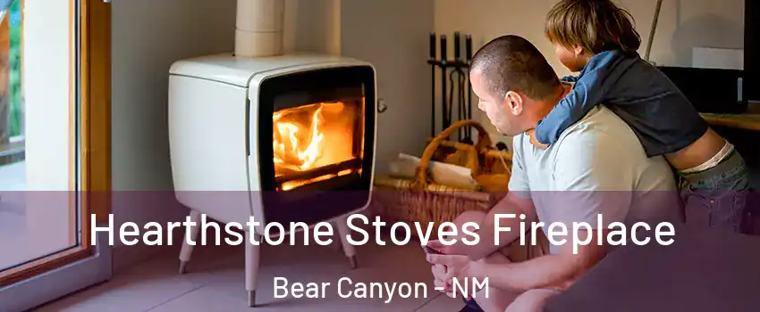 Hearthstone Stoves Fireplace Bear Canyon - NM