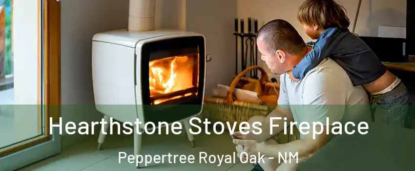 Hearthstone Stoves Fireplace Peppertree Royal Oak - NM