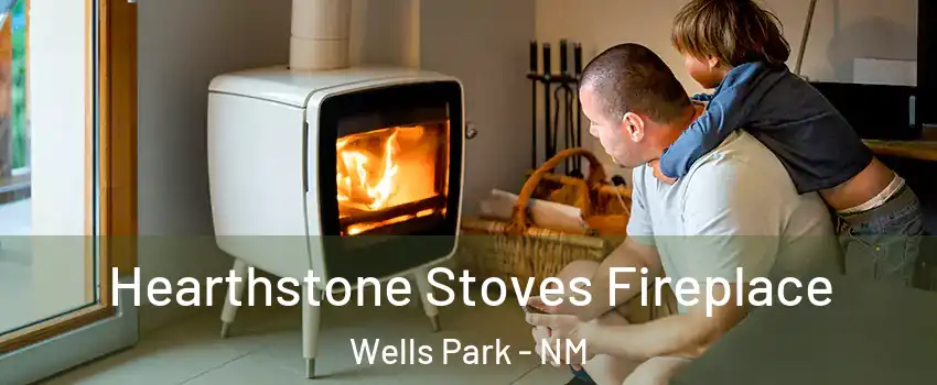 Hearthstone Stoves Fireplace Wells Park - NM