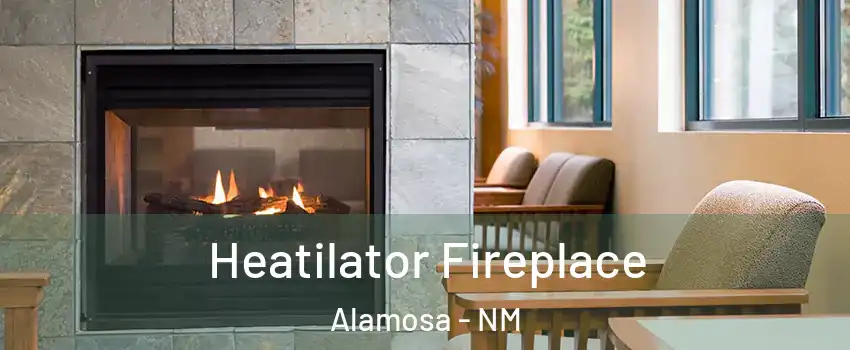 Heatilator Fireplace Alamosa - NM