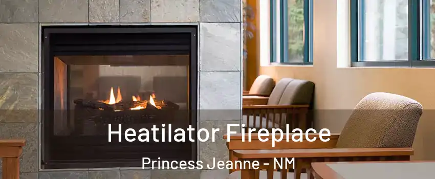 Heatilator Fireplace Princess Jeanne - NM