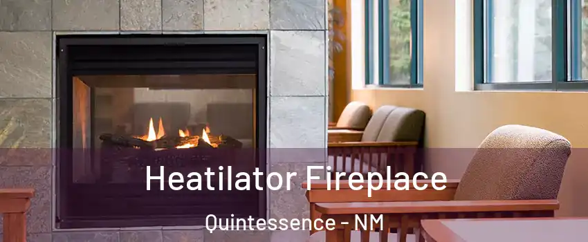 Heatilator Fireplace Quintessence - NM