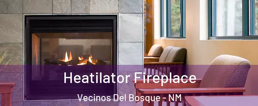 Heatilator Fireplace Vecinos Del Bosque - NM