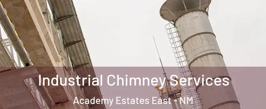 Industrial Chimney Services Academy Estates East - NM