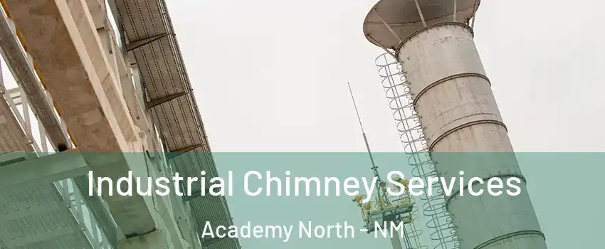 Industrial Chimney Services Academy North - NM