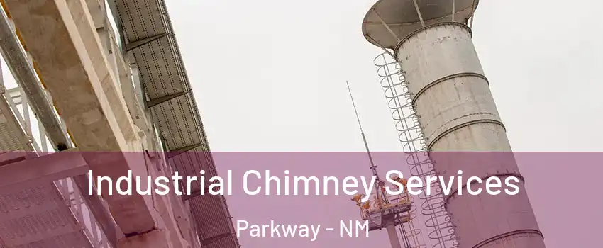 Industrial Chimney Services Parkway - NM