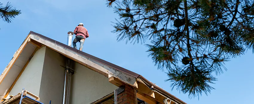 Birds Removal Contractors from Chimney in The Quail Springs, NM