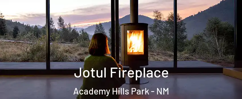 Jotul Fireplace Academy Hills Park - NM