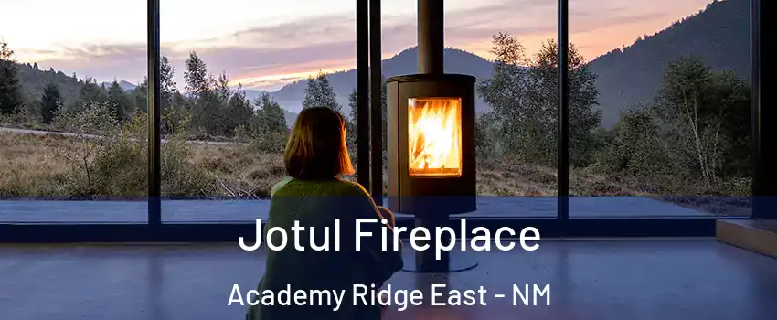 Jotul Fireplace Academy Ridge East - NM