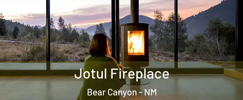 Jotul Fireplace Bear Canyon - NM